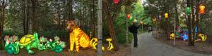 Turtle and Tiger Chinese Lanterns